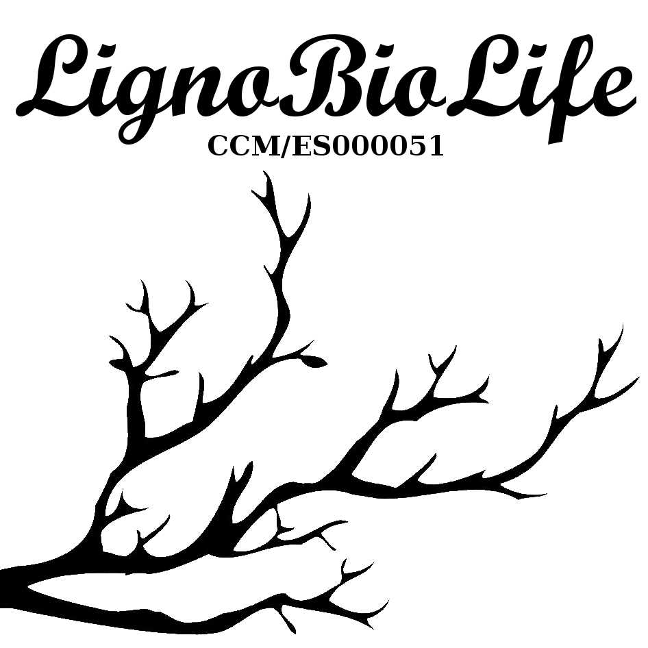 ¡LIGNO BIOLIFE, el más reciente networker de LIFE RIBERMINE!