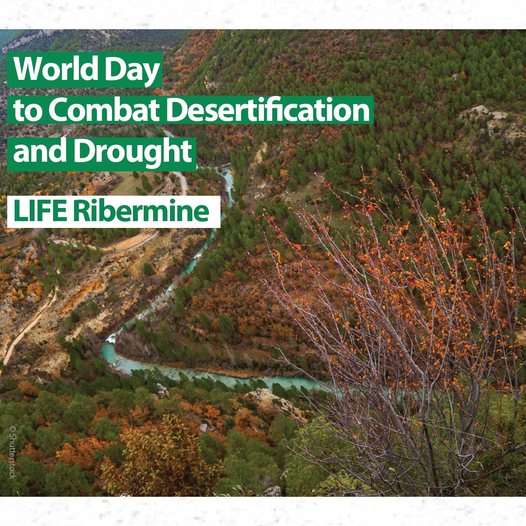 Life Ribermine is highlighted by Green Deal in the “World Day to Combat Desertification and Draught”
